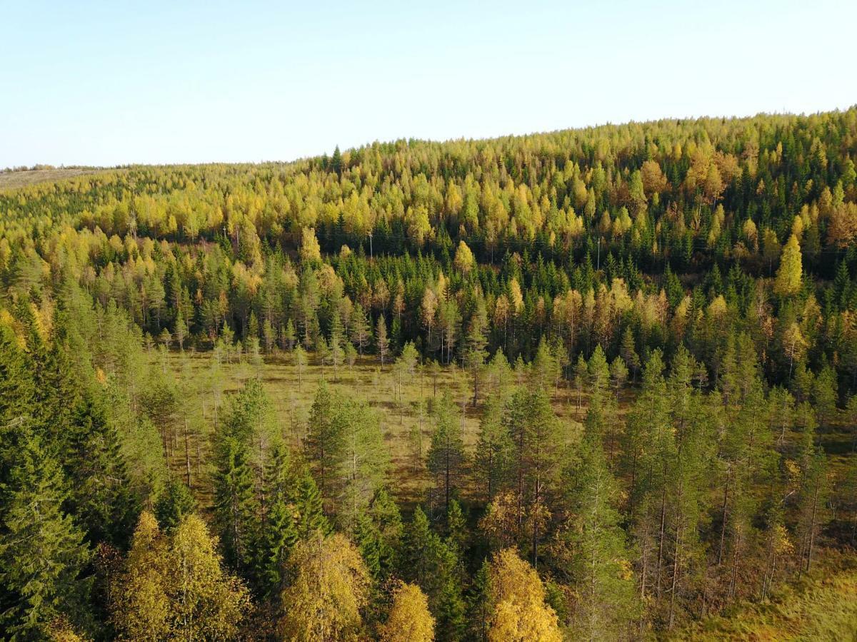 Karkutahko Villas Ruokonen Exterior photo